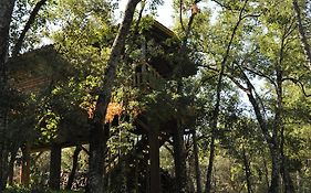 Los Nidos De Santa Maria